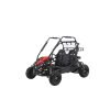 Coleman Powersports GK200 196cc Gas Powered Dual Seat Go-Karts.