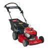 Toro 22″ Electric-Start Recycler Personal Pace Self-Propelled Gas Lawn Mowers.