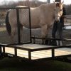 2K-Utility-Trailer-5X8GWE2K-21.jpg utility trailer 5×8