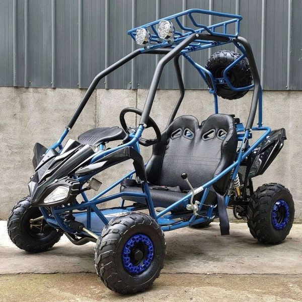 DongFang 125cc Kids Go Karts Type-GTS