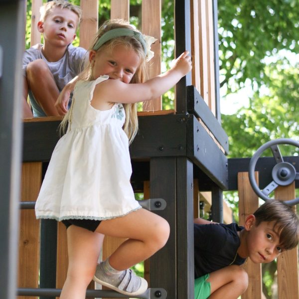 Sideladder.jpg Mystic Tower Swing Set