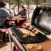 img-3017.jpg Weber 9010001 Traveler Portable Grill